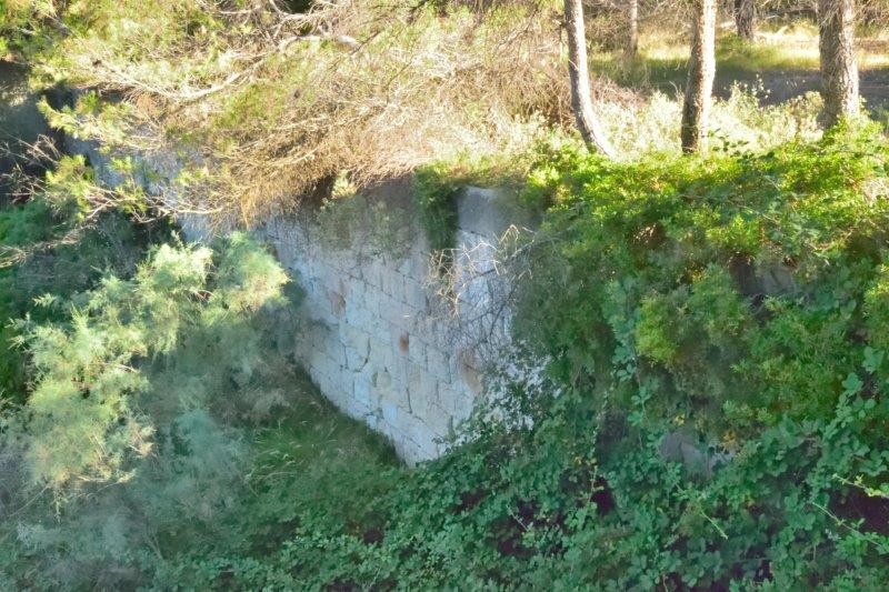 Dsc 0019 01