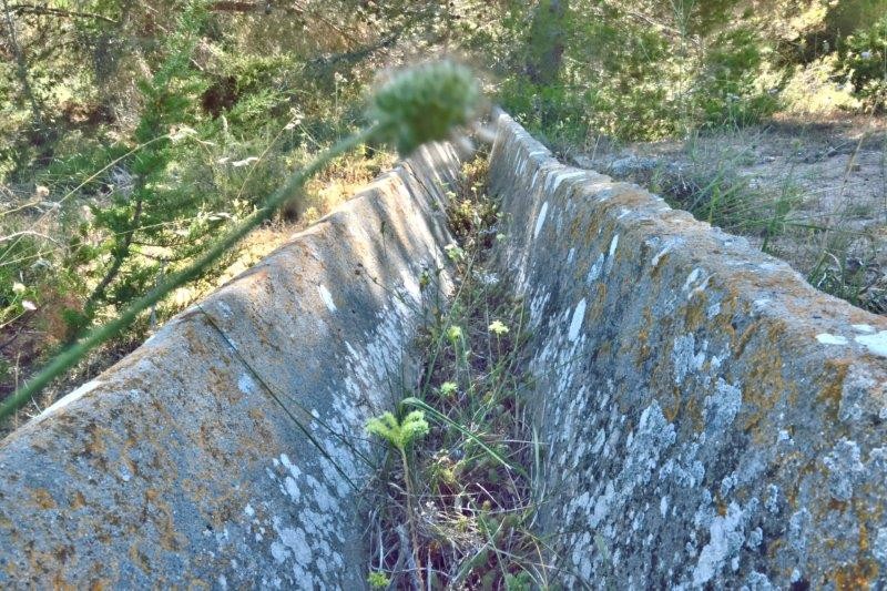 Dsc 0065 01