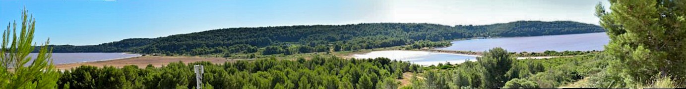 Panoramique